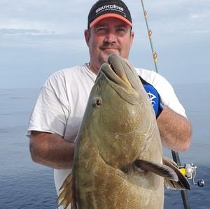 Meet your Posher, Edward